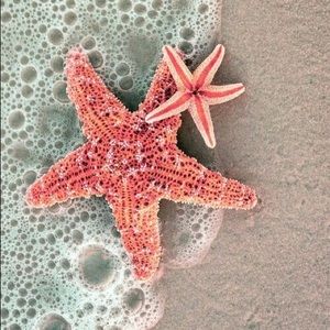 Meet your Posher, Isabella